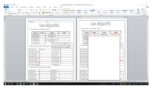 FRENCH Adjectives BAGS Les Adjectifs Worksheets Teaching Resources