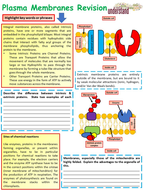 A Level Biology Cell Membrane Revision Workbook | Teaching Resources