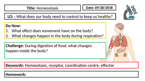 AQA GCSE Biology New Specification - B5 Homeostasis