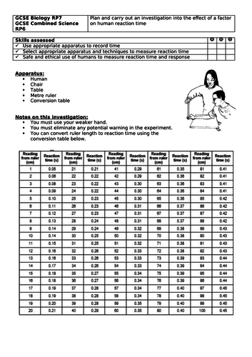 AQA GCSE Biology New Specification - B5 Investigating Reaction Time