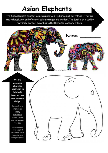 Pattern Exploration - Asian Elephants