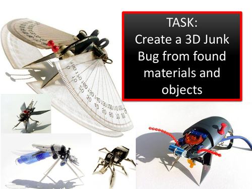 JuNk BuG Project Homework