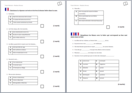 Literary Text- A Level French- Gustave Flaubert-Worksheet | Teaching ...