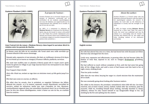 Literary Text- A Level French- Gustave Flaubert-Worksheet