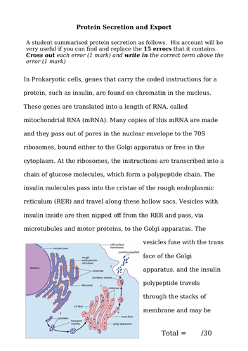 docx, 905.94 KB