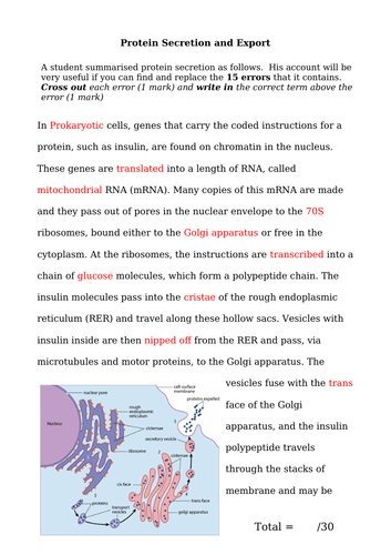 docx, 917.59 KB