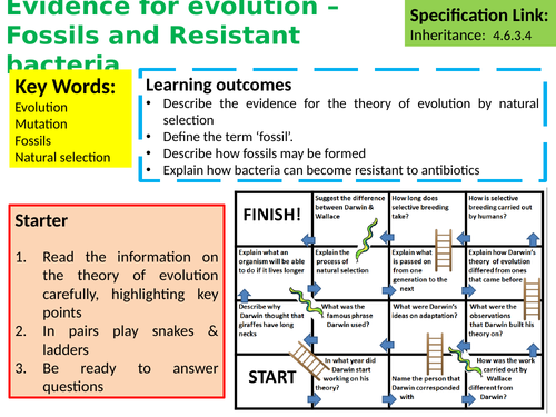 AQA GCSE Biology (Science) Evidence for Evolution – Fossils and ...