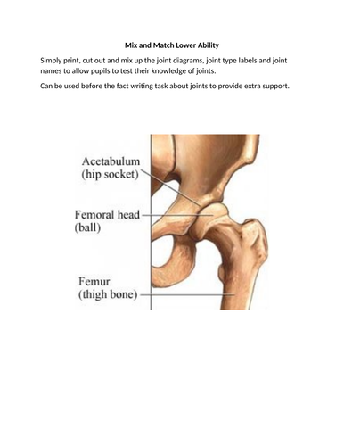 Joints, Movement - Year 7 KS3