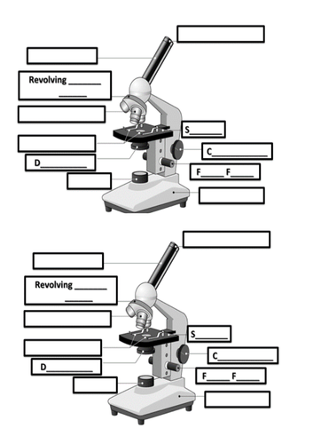 docx, 30.79 KB