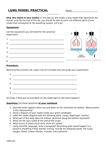 lung-model-practical-teaching-resources