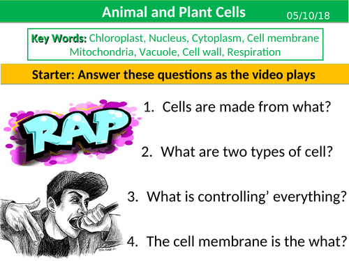 Plant and Animal Cells (KS3) | Teaching Resources