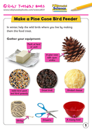 Make A Pine Cone Bird Feeder Seasonal Changes Teaching Resources