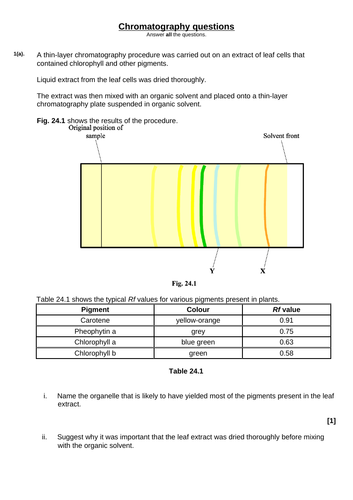 docx, 237.01 KB