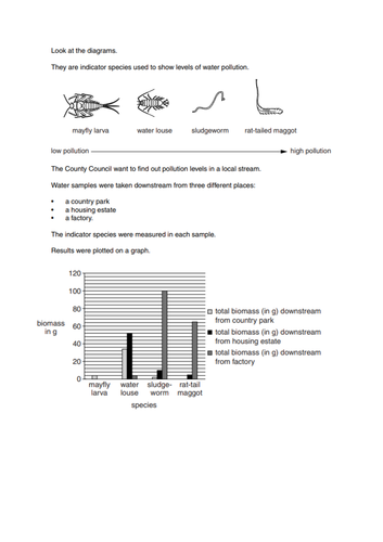 docx, 245.56 KB