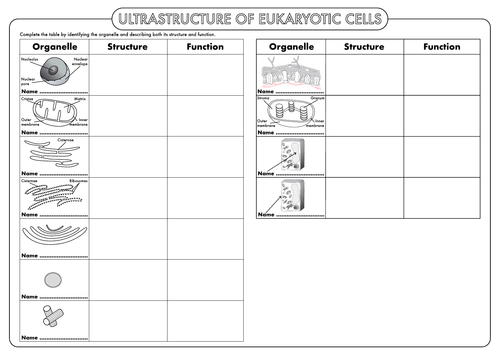 A Level Biology: Cell Ultrastructure Worksheet Pack | Teaching Resources