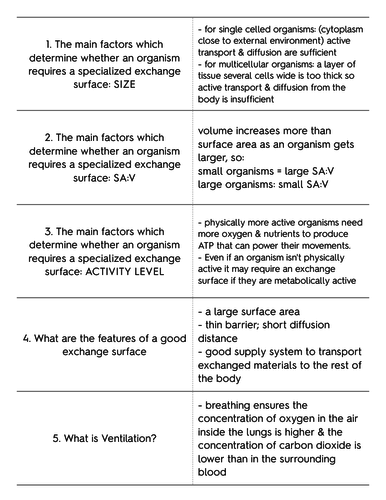 3.1.1 EXCHANGE SURFACES