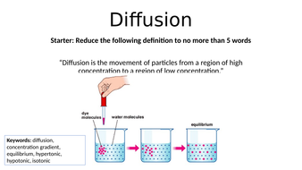 AQA KS4 Diffusion | Teaching Resources