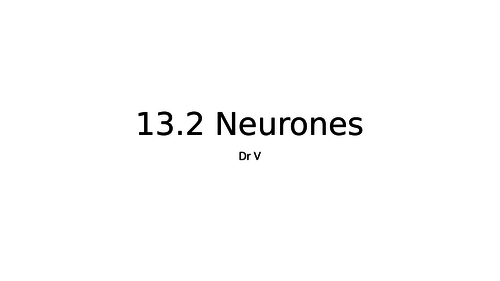 Neurones Chapter 13.2 OCR Biology GCE