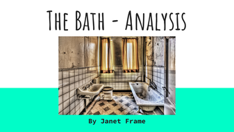 The bath by janet frames essay image