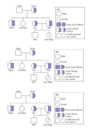 Aqa Biology New Gcse Paper 2 Topic 2 Inheritance Variation