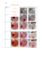 diffusion in agar experiment