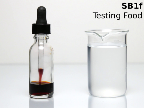 Edexcel SB1f Testing Foods
