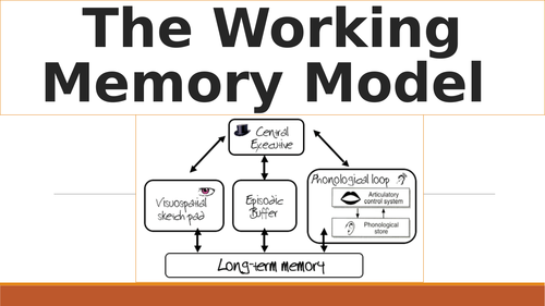 AQA A Level Psych - Memory (Working Memory Model) | Teaching Resources