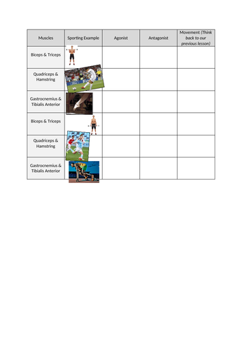 GCSE PE || Antagonistic Pairs Lesson with Task | Teaching Resources