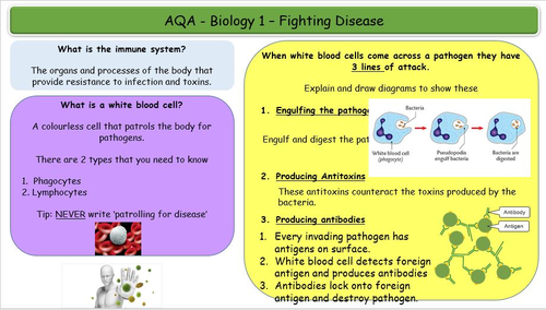 AQA GCSE Biology Crash Course with worksheets - Revision | Teaching