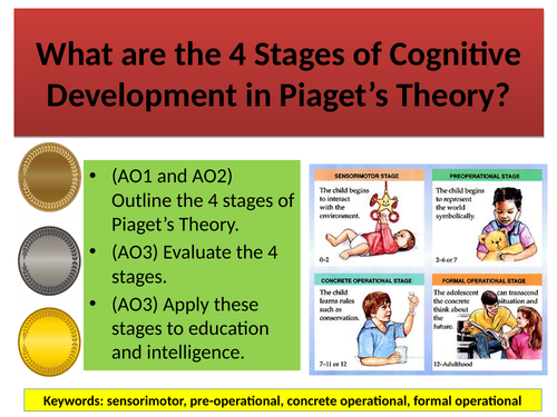 Piaget's 4 stage outlet of cognitive development