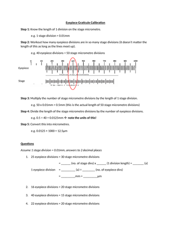 docx, 632.57 KB