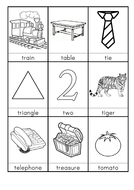 T words beginning with T  Teaching Resources