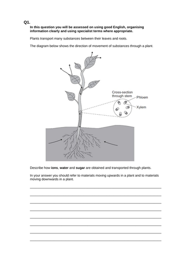 KS4 Transport through cells | Teaching Resources