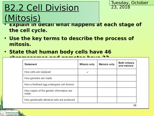 Ks4 Cell Division Teaching Resources