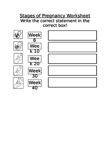 KS3 Unit 7B Biology- Reproduction WORKSHEETS only | Teaching Resources
