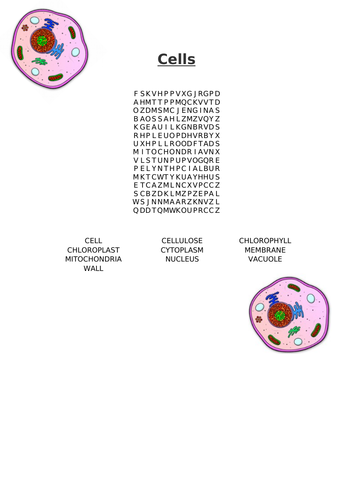 Cells Word Search