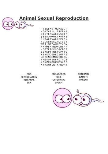 Animal Sexual Reproduction Word Search