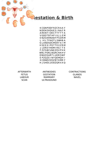 Gestation & Birth Word Search