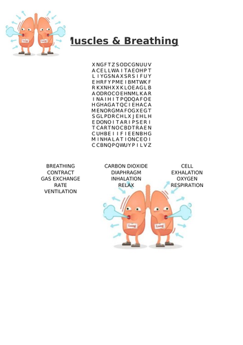 Muscles & Breathing Word Search