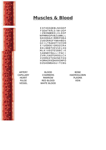docx, 37.98 KB