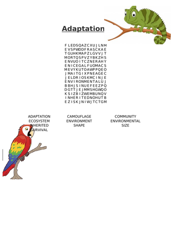 Adaptations Word Search