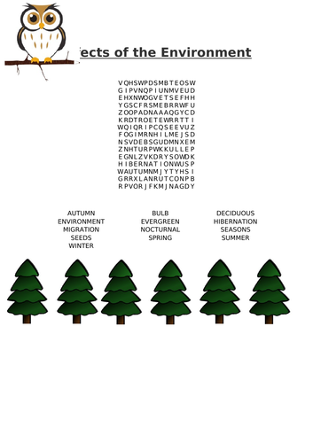 Effects of the Environment Word Search