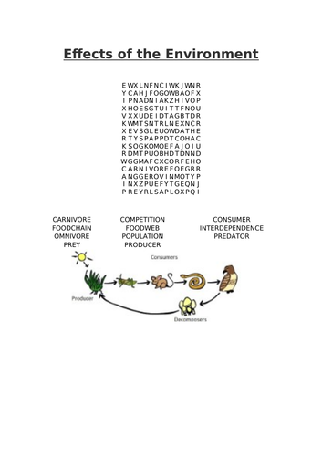 Effects on the Environment Word Search