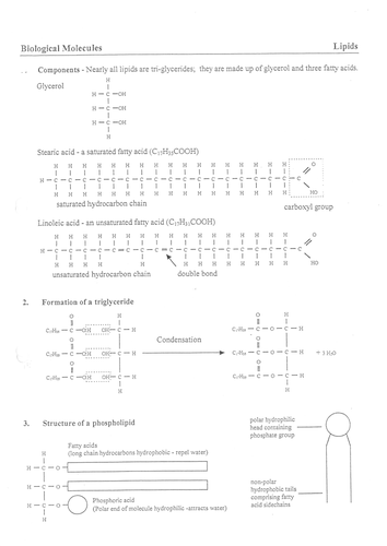 pdf, 717.49 KB