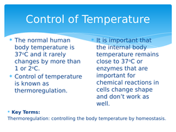 GCSE (9-1) Biology - Homeostasis & Thermoregulation | Teaching Resources