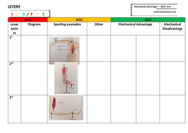 Levers in the body image