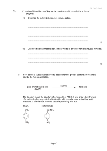 IB Biology HL Unit 7 Enzymes | Teaching Resources