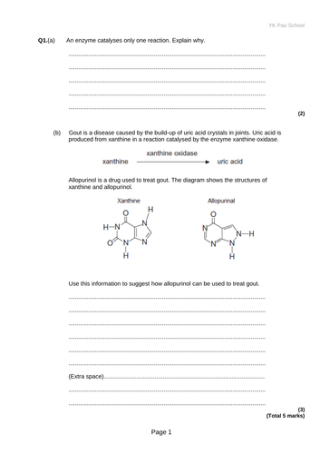 IB Biology HL Unit 7 Enzymes | Teaching Resources