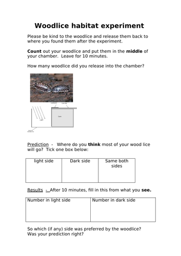 woodlouse habitat experiment