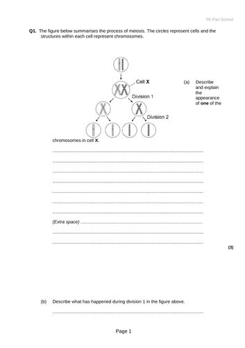IB Biology SL Unit 3 - Meiosis, variation, Down's Syndrome and ...